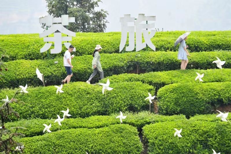 微信图片_20240505140430.jpg.jpg