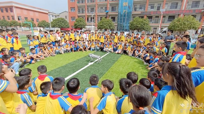 图片36.jpg.jpg