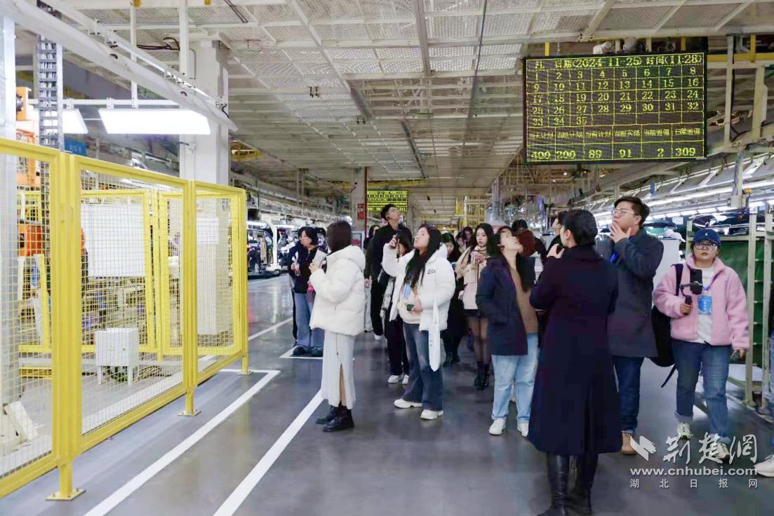 微信图片_20241125230540