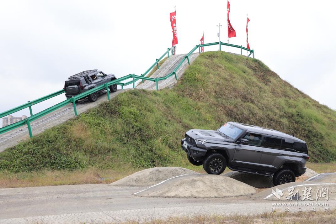 微信图片_20241125231209