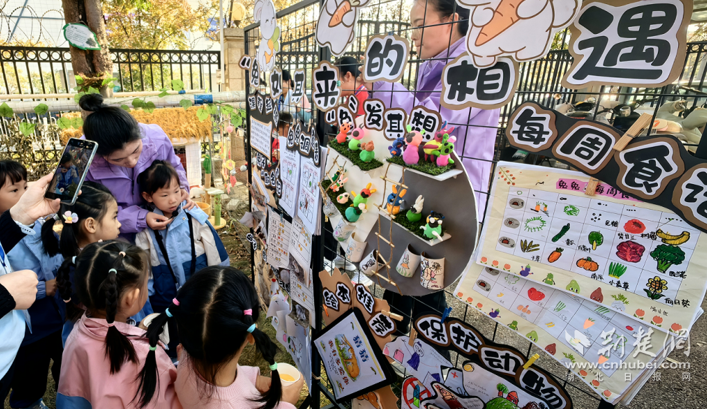  武汉市幼儿园科技节 _幼儿园科学区域_