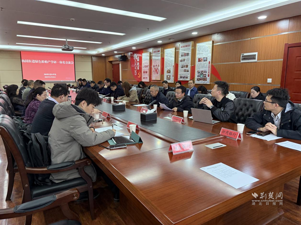 杨园街道绿色船舶产学研一体化交流会成功举办