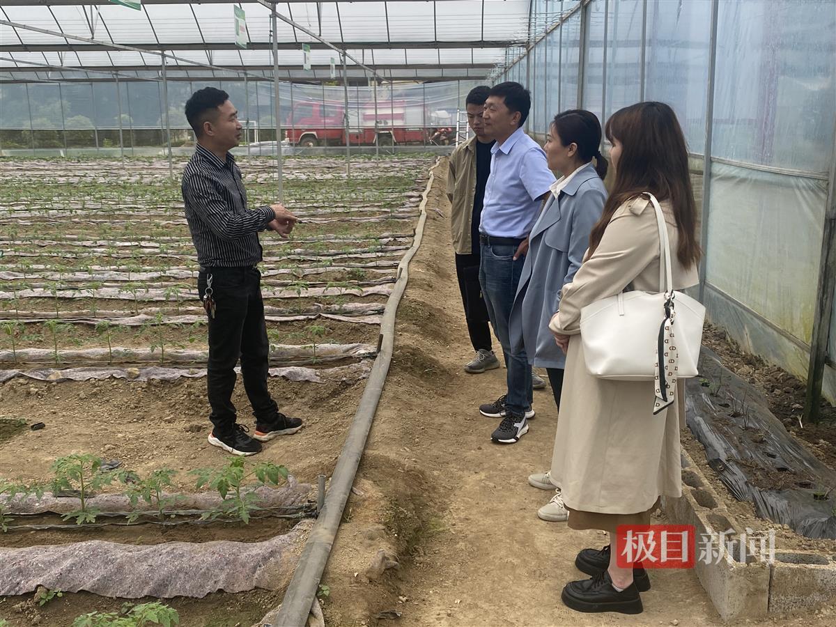 从打工人到“黑猪王”：向官杰返乡创业记