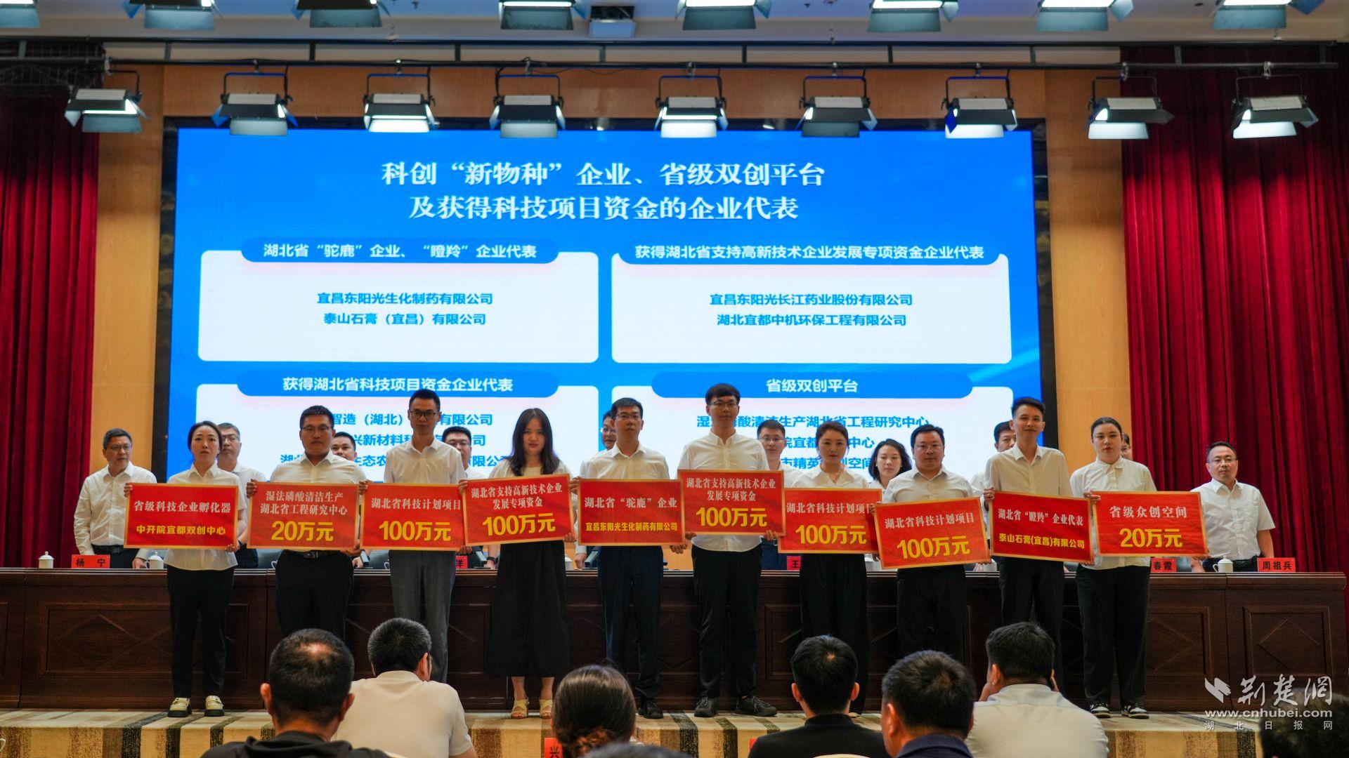 为新认定的省级双创平台授牌，为获得省级科技项目和资金的企业兑现奖励。唐姝亚 摄.jpg.jpg