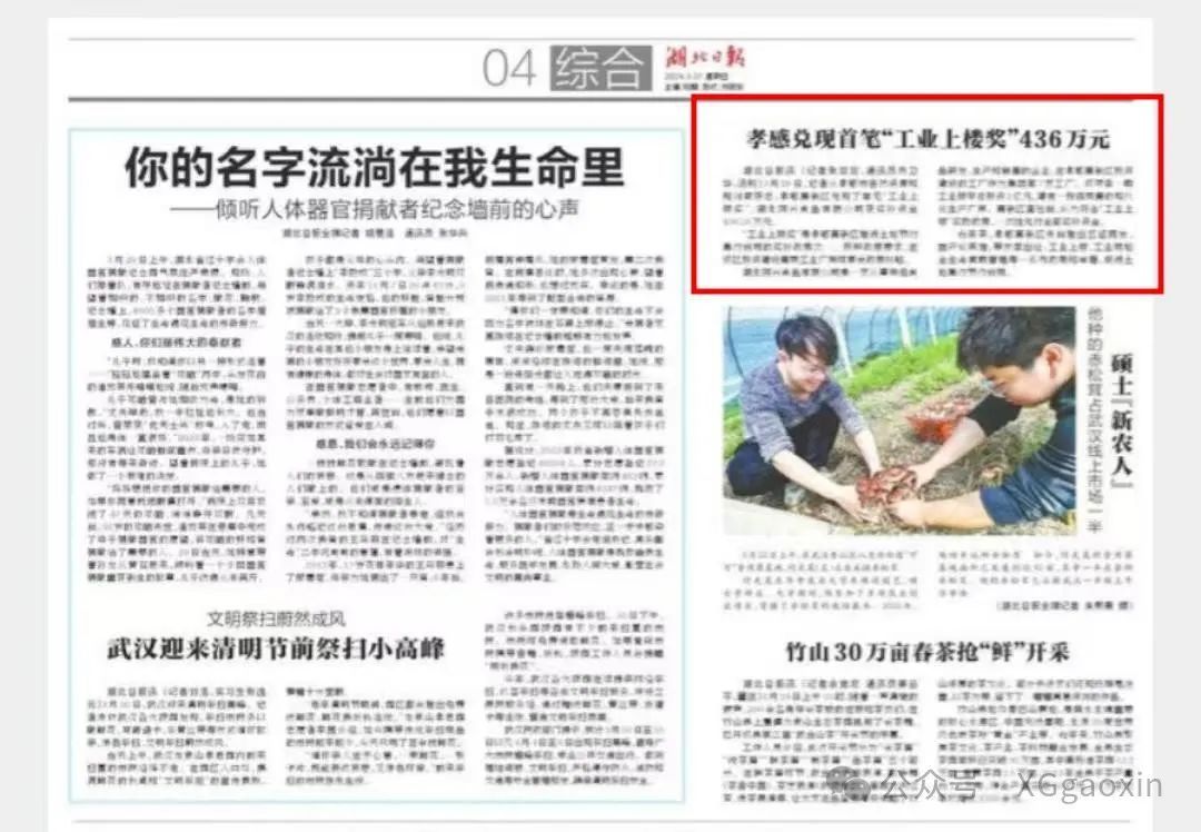 全域国土综合整治｜工业上楼助推产业能级跃升