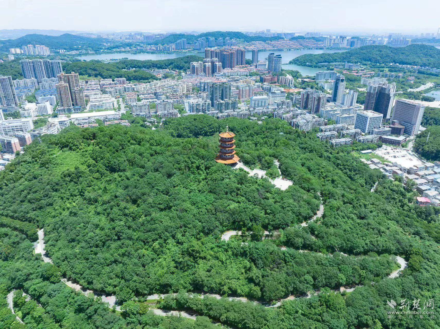 劲牌捐建的柯尔山白马山公园.jpg.jpg