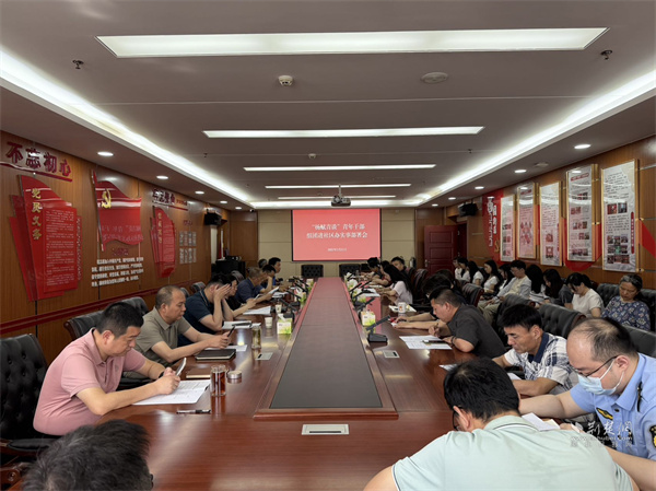 武昌区杨园街道“杨赋青谈”组团进社区办实事项目启动