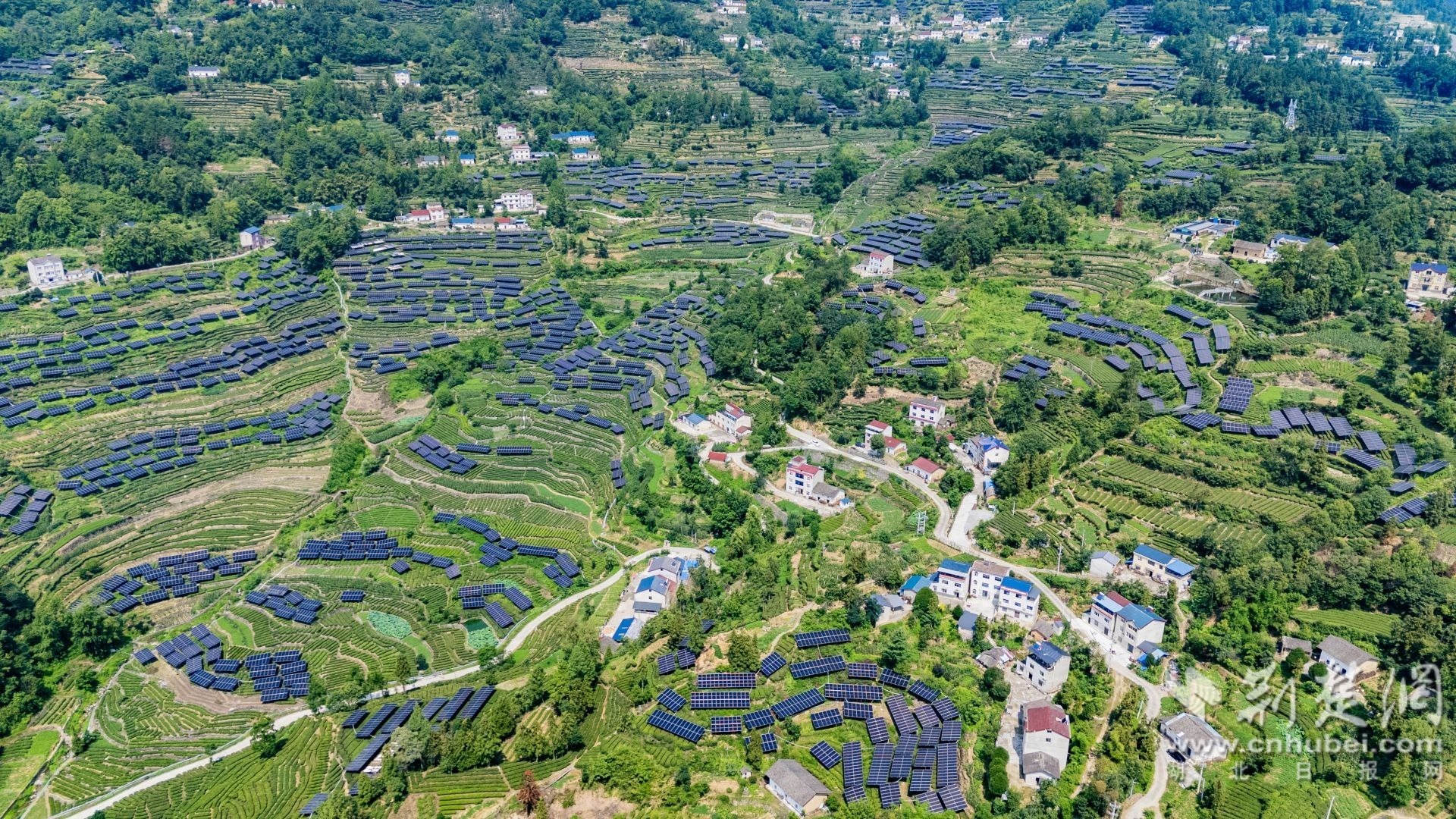 2025年6月24日，在湖北省宜昌市秭归县茅坪镇月亮包村，光伏发电设施与茶园、村落相映成景，构成一幅和谐美丽的乡村画卷。彭强摄（