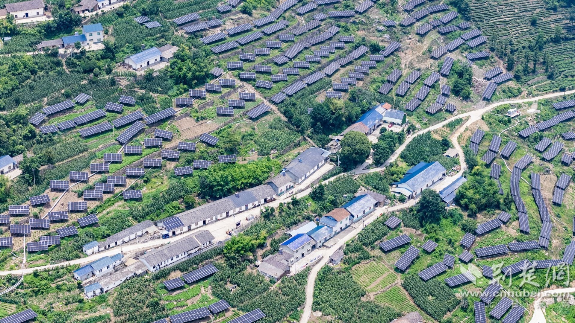2025年6月24日，在湖北省宜昌市秭归县九畹溪镇穿心店村，光伏发电设施与茶园、村落相映成景，构成一幅和谐美丽的乡村画卷。彭强摄