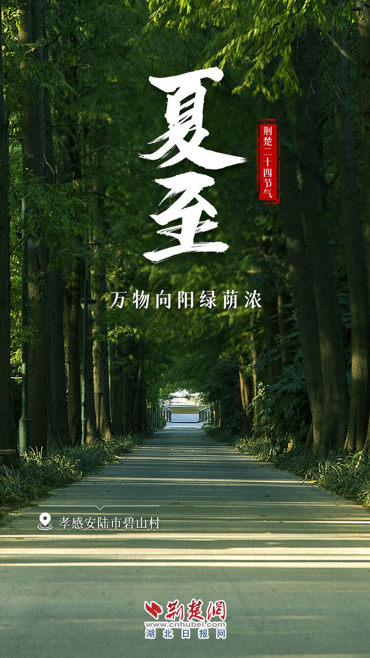 夏志.jpg