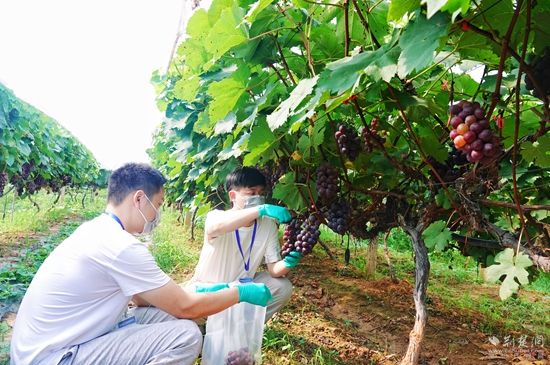 微信图片_20250709114141.jpg.jpg