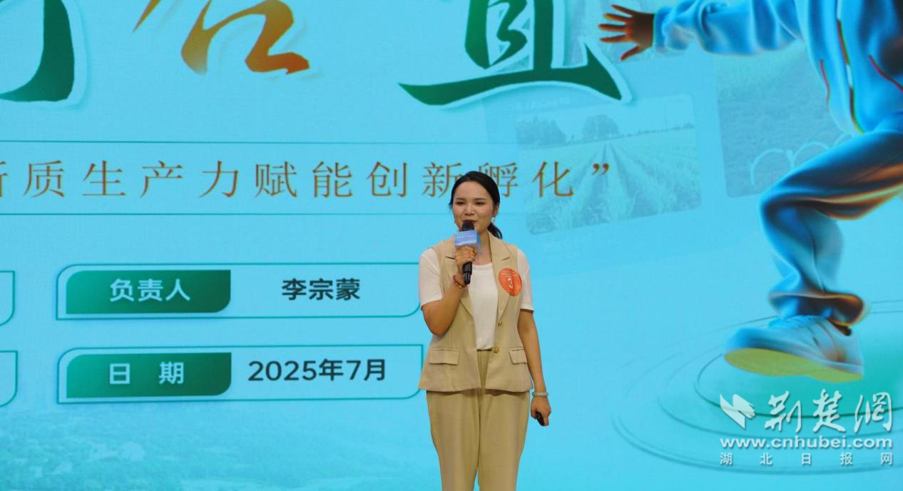 图片9.png.png