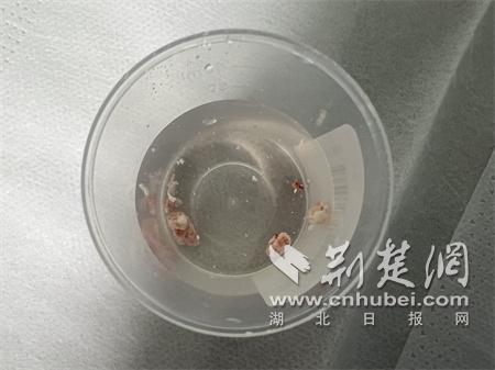 微信图片_20250731152839.jpg