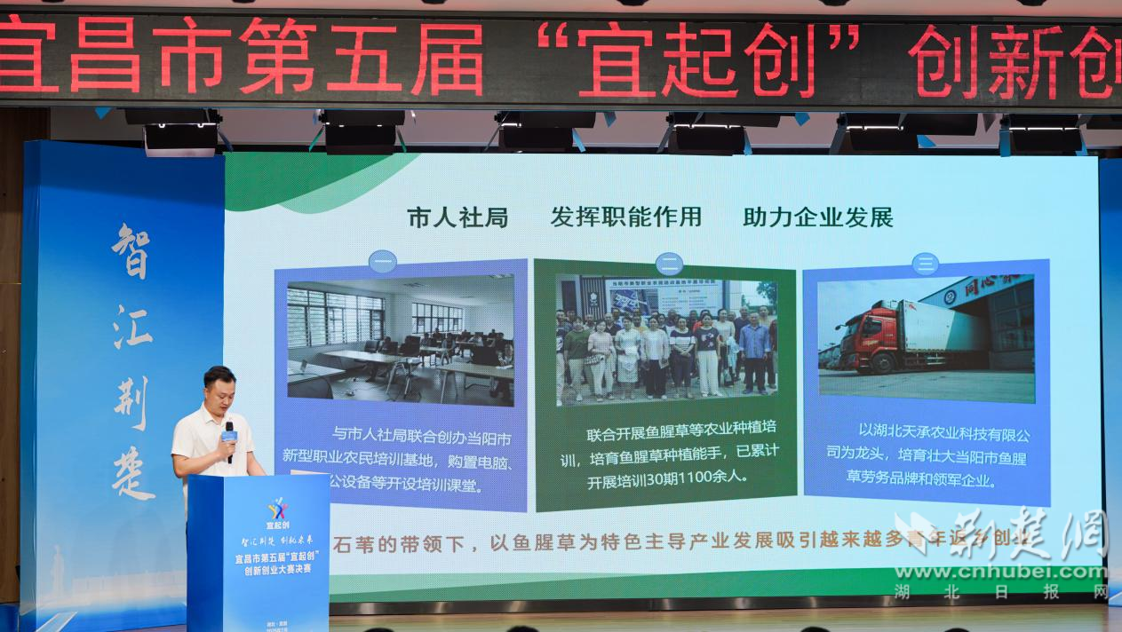 图片4.png.png