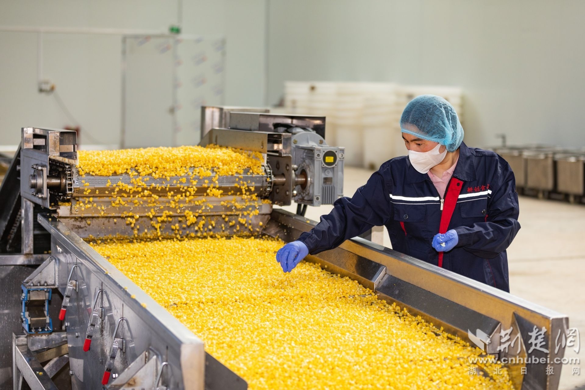 2025年7月16日,在湖北耕创农产品供应链有限公司加工厂房内,工人正在查验产品。.jpg.jpg