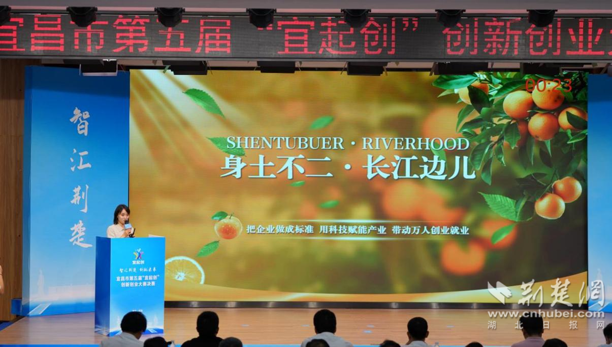 图片8.png.png