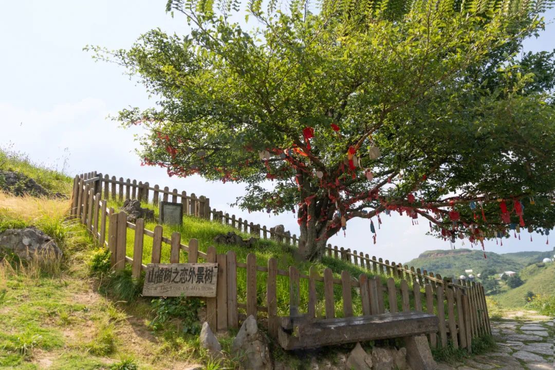 640?wx_fmt=jpeg&from=appmsg&&wxfrom=5&wx_lazy=1