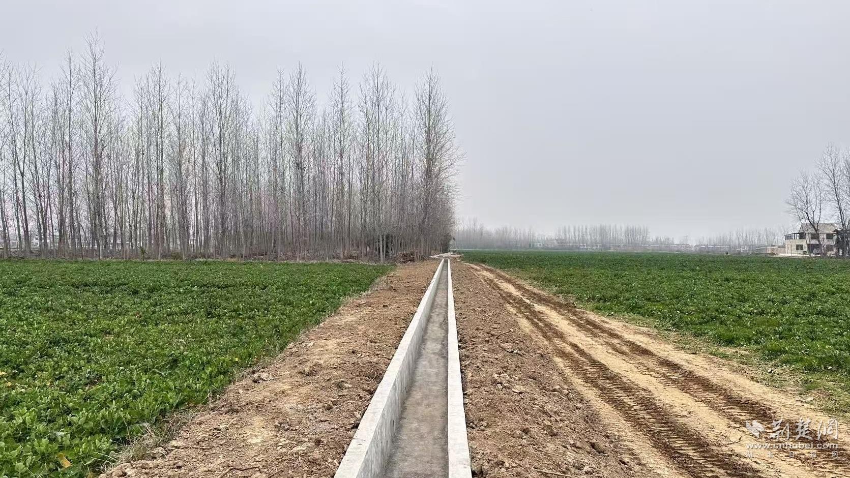 b356d7733c7249998acbeb5fa7175cbe_1671X940_20251021230302