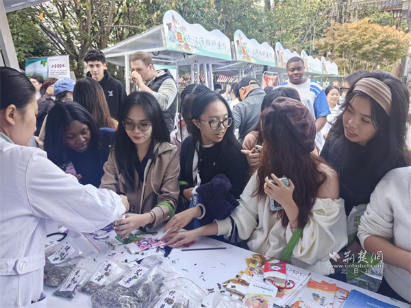 从社区到广场，武汉市武东医院中医药惠民全天“续航”暖人心