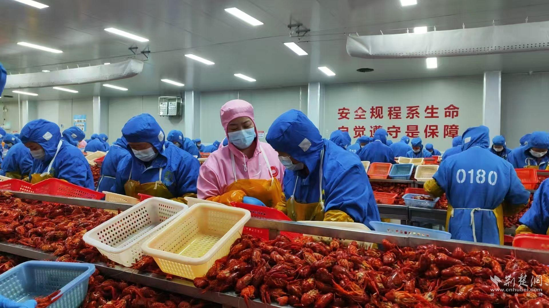 湖北绿亿园食品科技有限公司 剥虾现场照.jpg.jpg