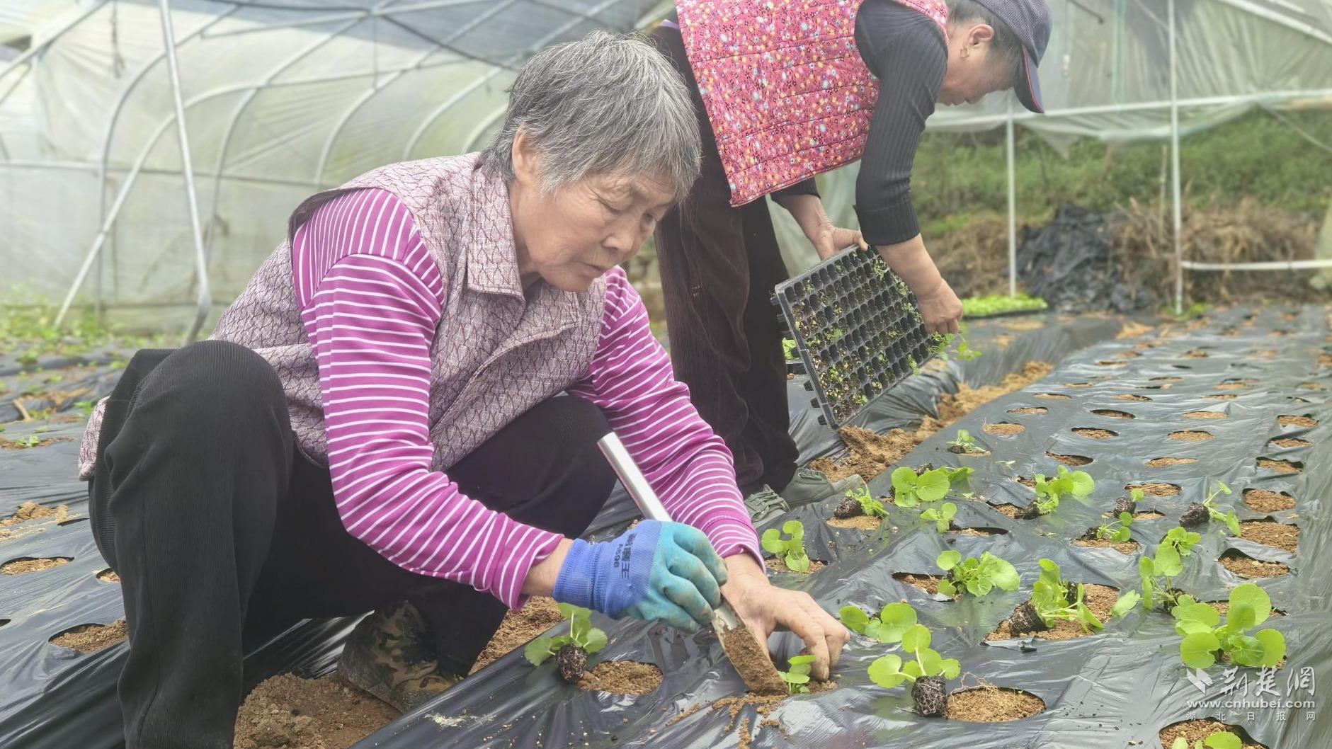 8fe90e36616aa02892331788803f0b06_1881X1058_20251107172003