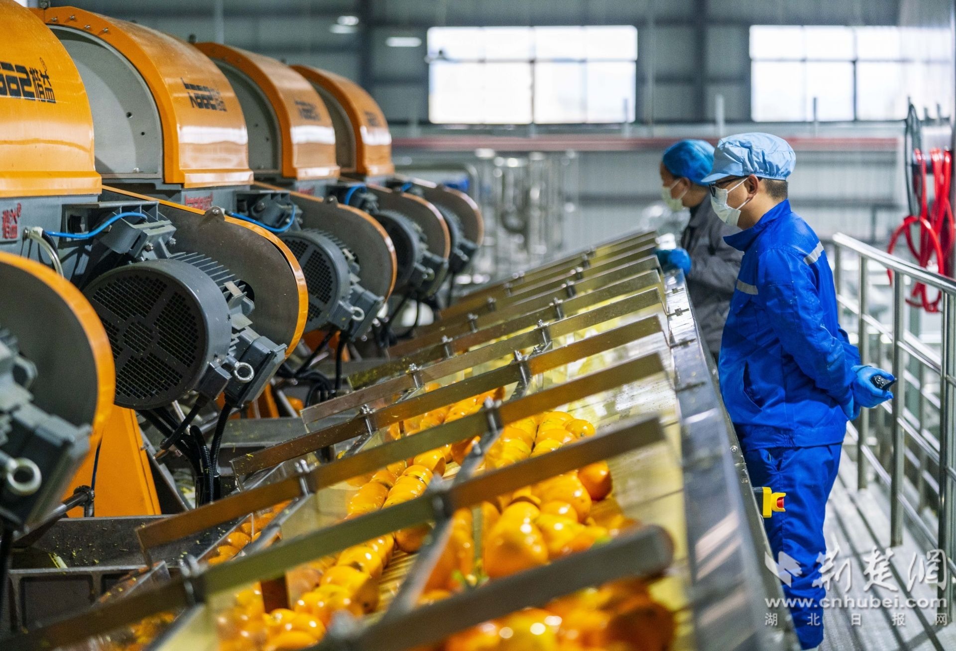 果乐迪工作人员检查橙汁生产线运行情况 周仕伟 摄 (1).JPG.JPG