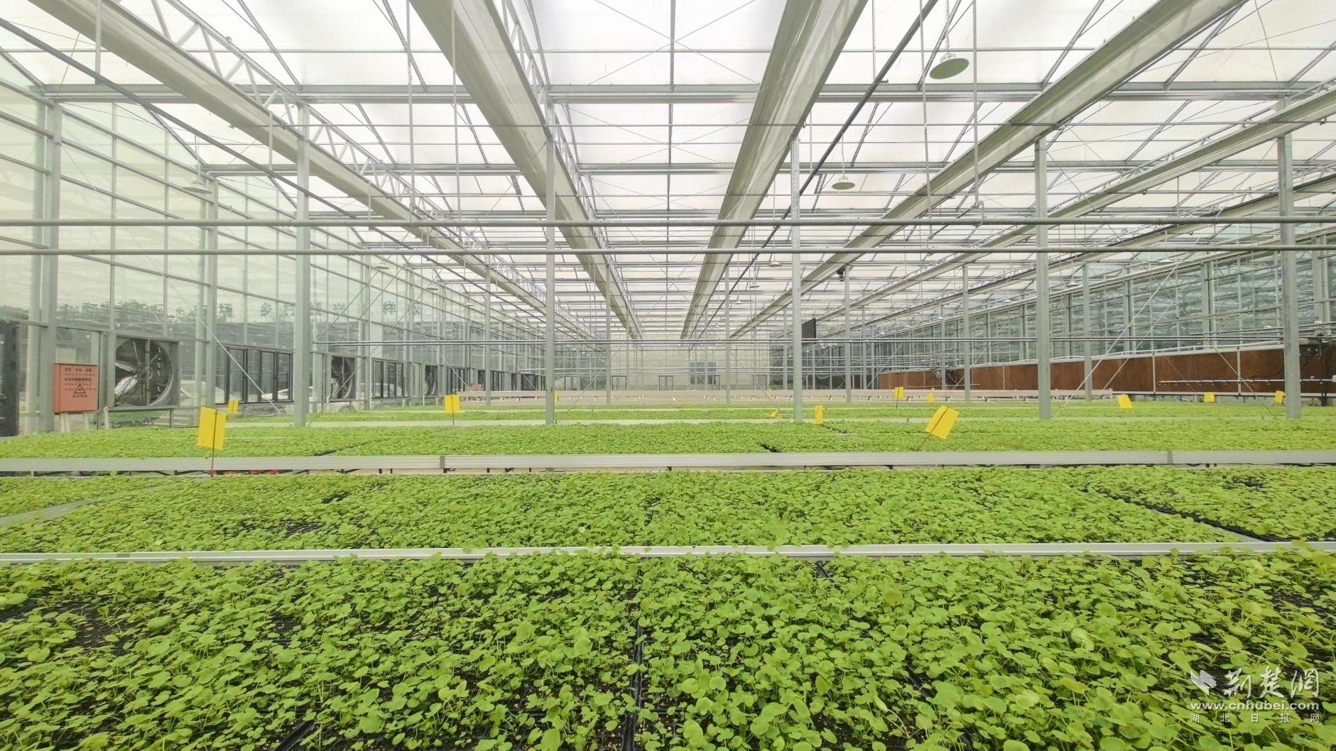 f8596183491e4b82f6ebdaca1984b1de_1881X1058_20251107171833