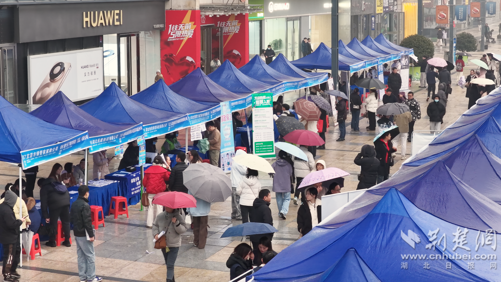 微信图片_2025-12-15_131635_450.png.png