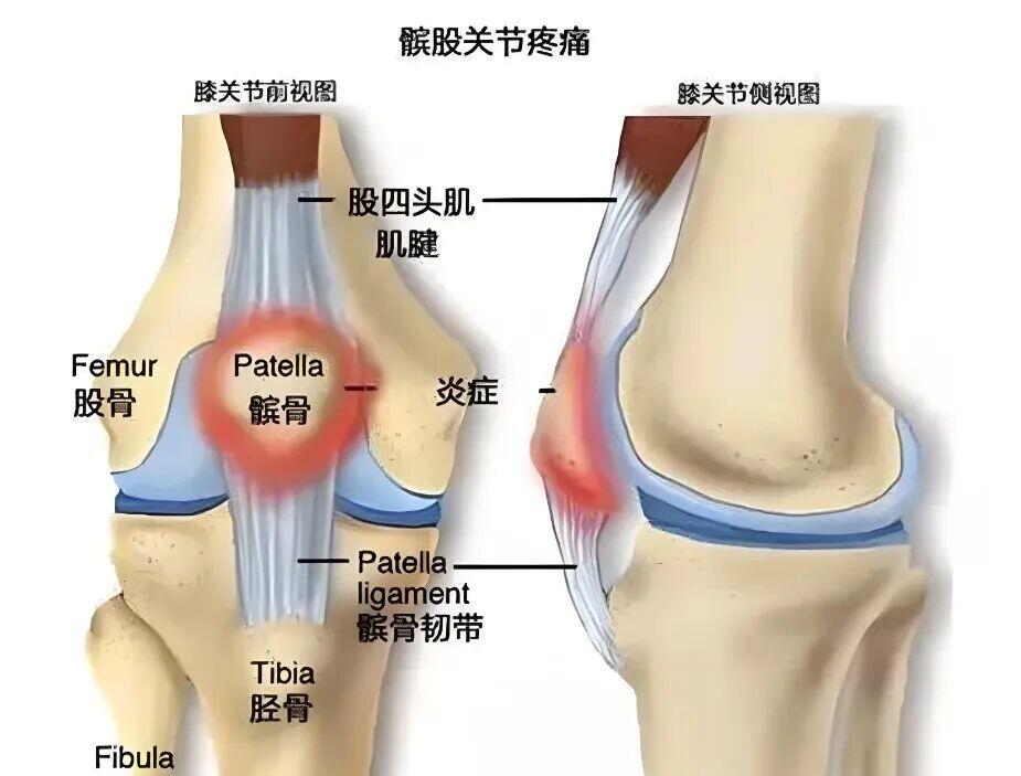 微信图片_20260324201848_588_68.jpg