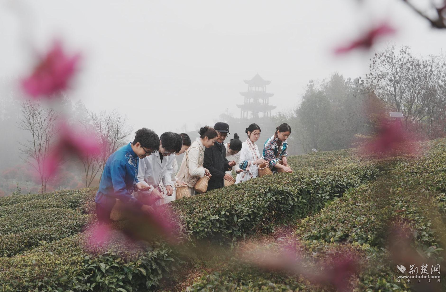 1725c452a3612071db3e9849ead6b9c2_1881X1230_20260404190350