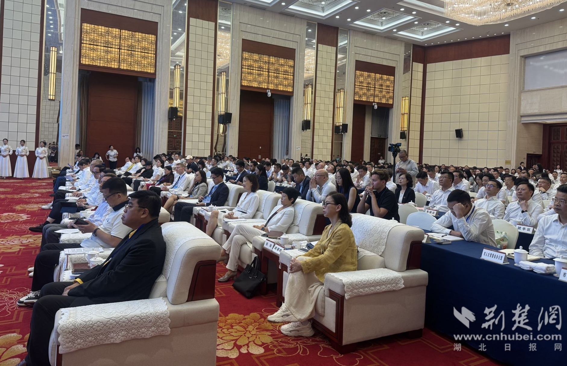 微信图片_20260618224816_453_4.jpg.jpg