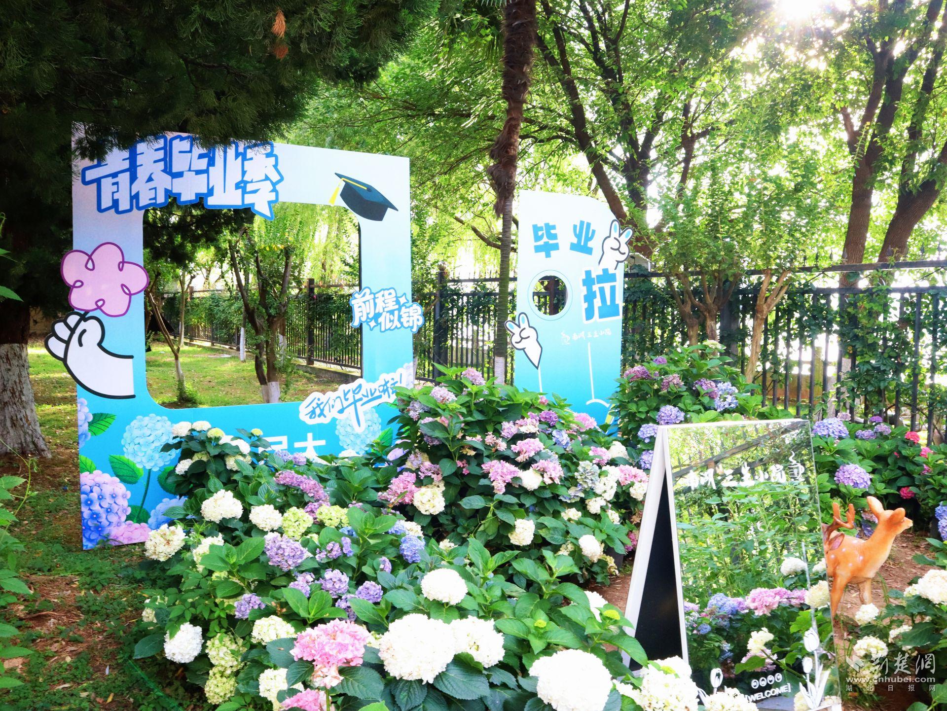 三生校园打卡点。侯佳音 摄.jpg.jpg