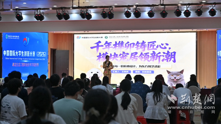图片3.png.png