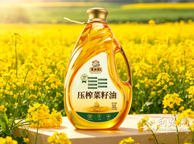 QQ_1786106936935.png.png