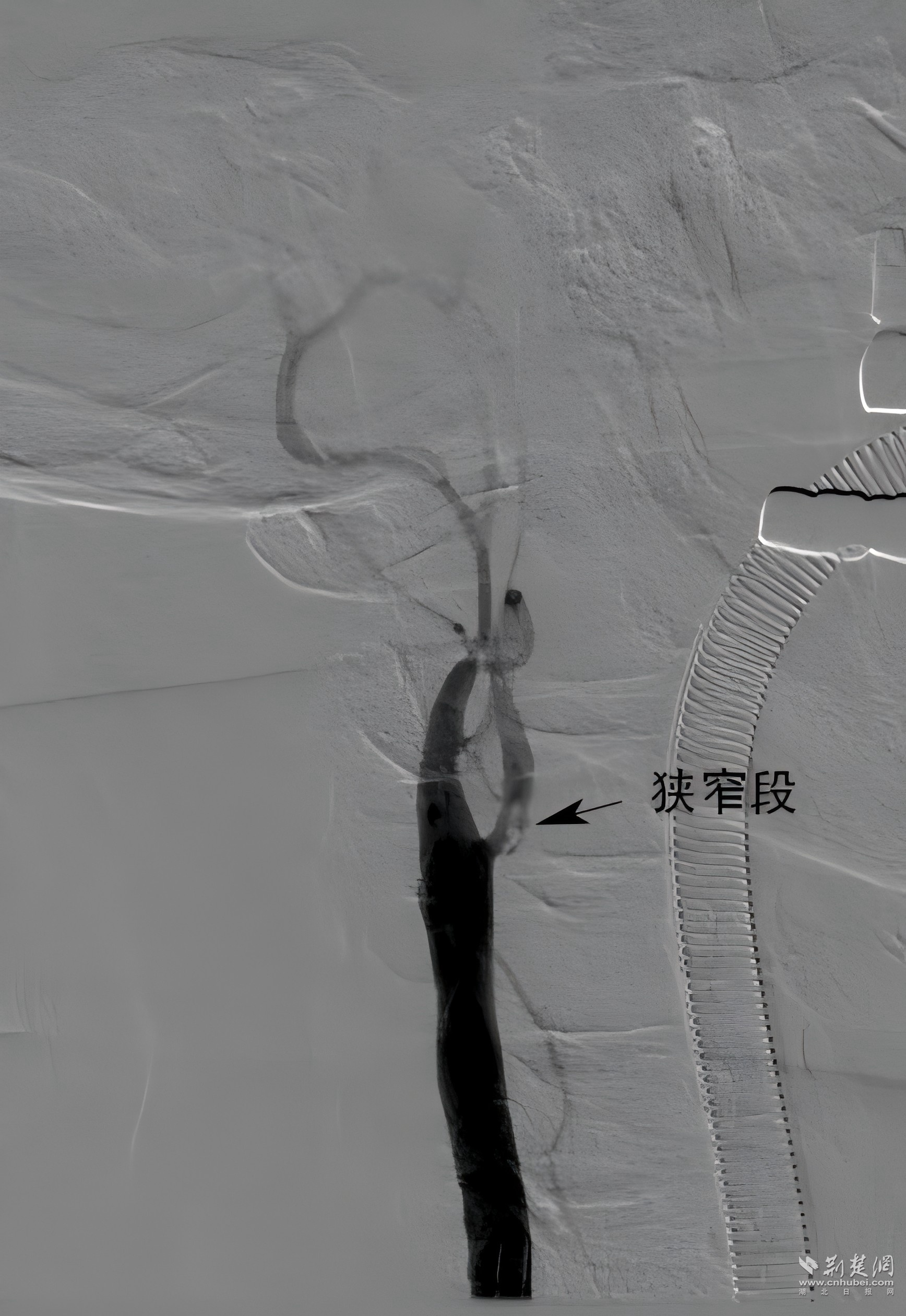 微信图片_2026-08-05_170405_329.png.png