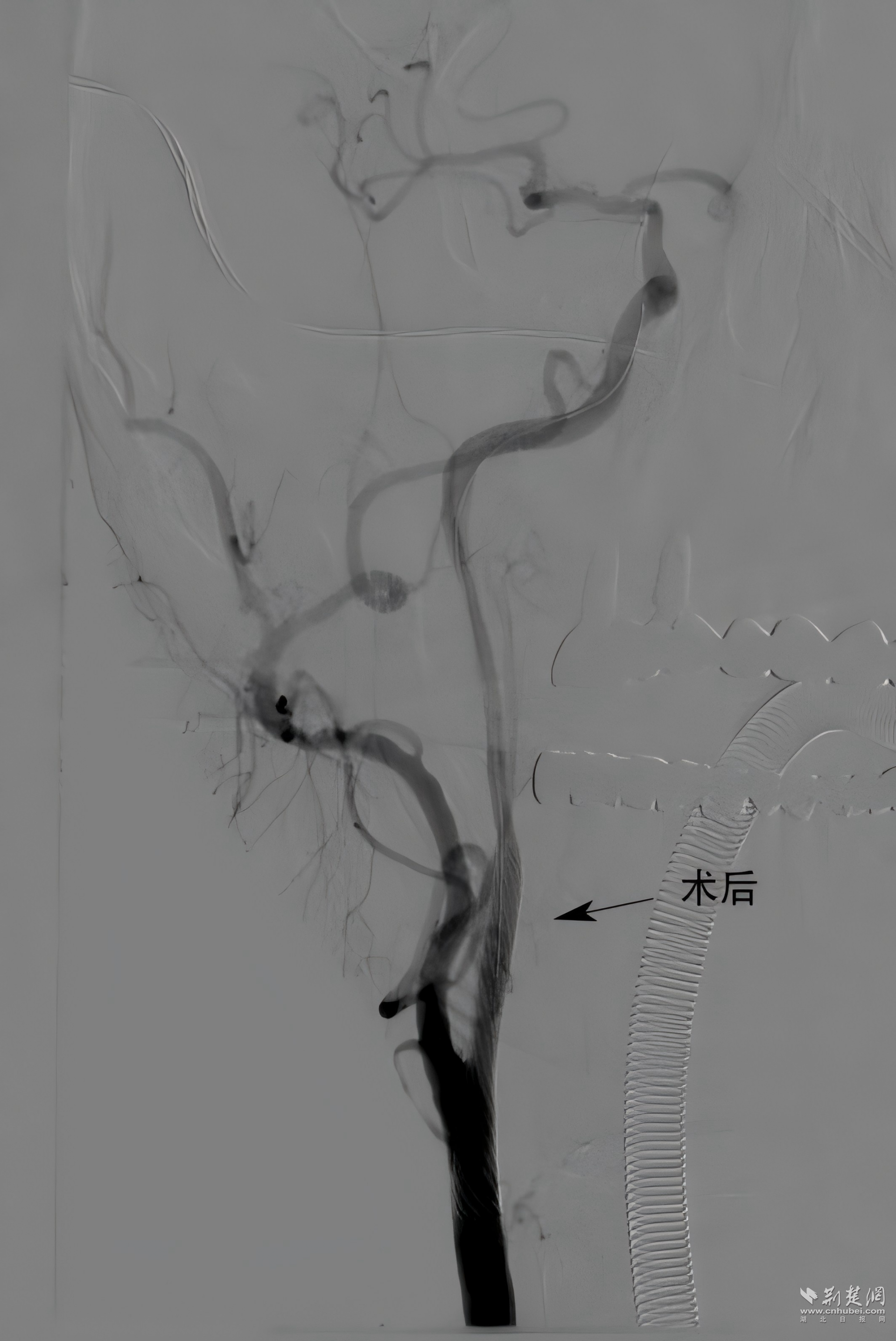 微信图片_2026-08-05_170409_073.png.png