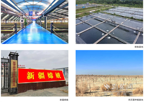为生命健康赋能——记We·BIO《生物汇》封面人物林国华