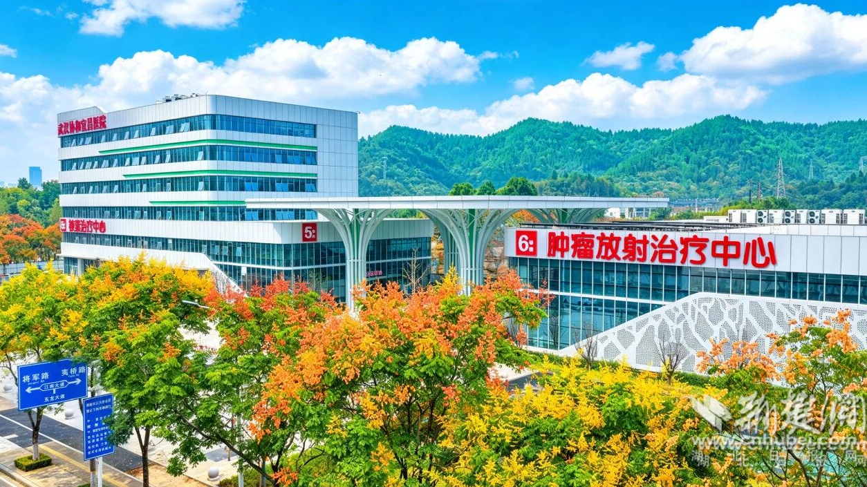 图片2.png.png