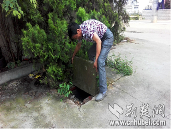 图片3_副本_副本.png 图片3_副本_副本.png