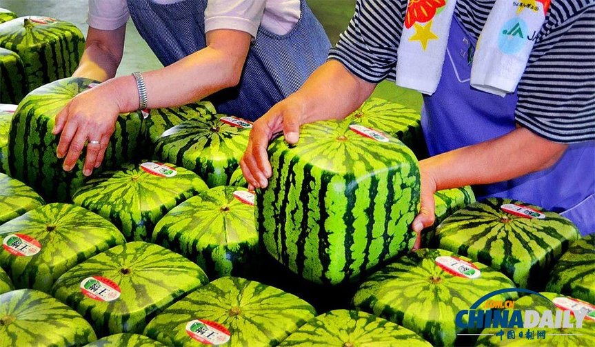 �ձ�����۷�������ÿ��5300Ԫ �˿�Ϊ���湺��