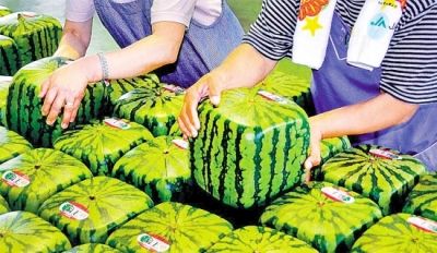 �ձ�����۷������ϳԲ��� �̵���Щֻ�ܿ�������ʳ