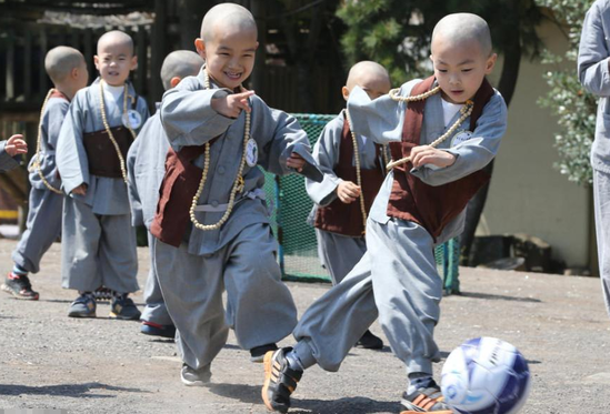 ������ԺС�������������� ���޺���