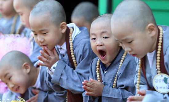 ������ԺС�������������� ���޺���