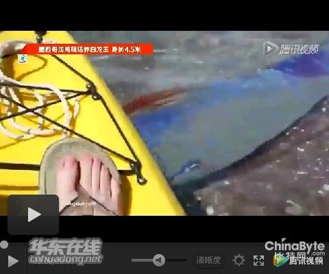 巨大海蛇的故事——活体白龙王惊现!