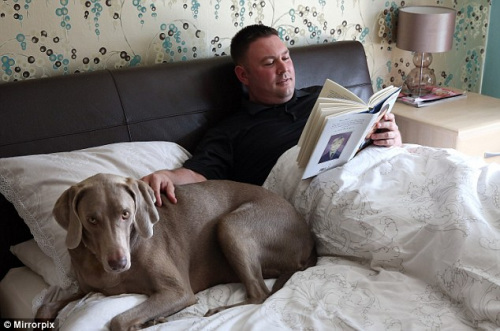 狗狗过上人类生活爱吃冰淇淋遛弯后忙冲凉(图)(3)