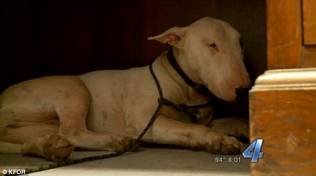 ���˺���ʬҰ����Ȯ�������������˲�Ը�뿪