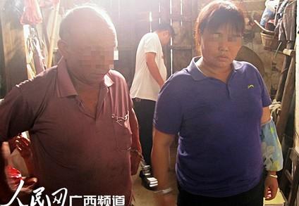 ���輶���Թ����ߡ��������οͱ��С�������