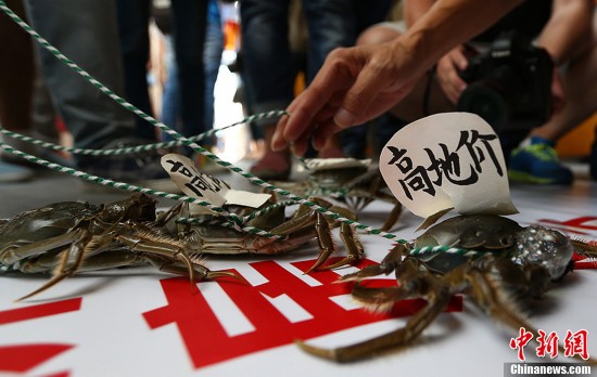 南京“遛螃蟹”引大批市民围观 手牵七八根长绳
