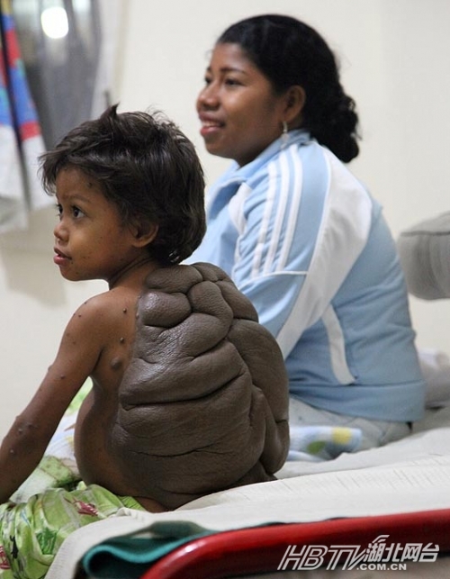 17��ֲ�Ů�������Ի�����