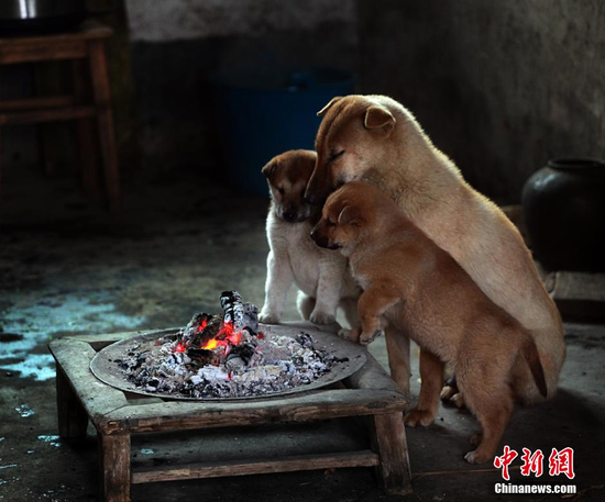 ����С��������Χ¯ȡů ��������(ͼ)